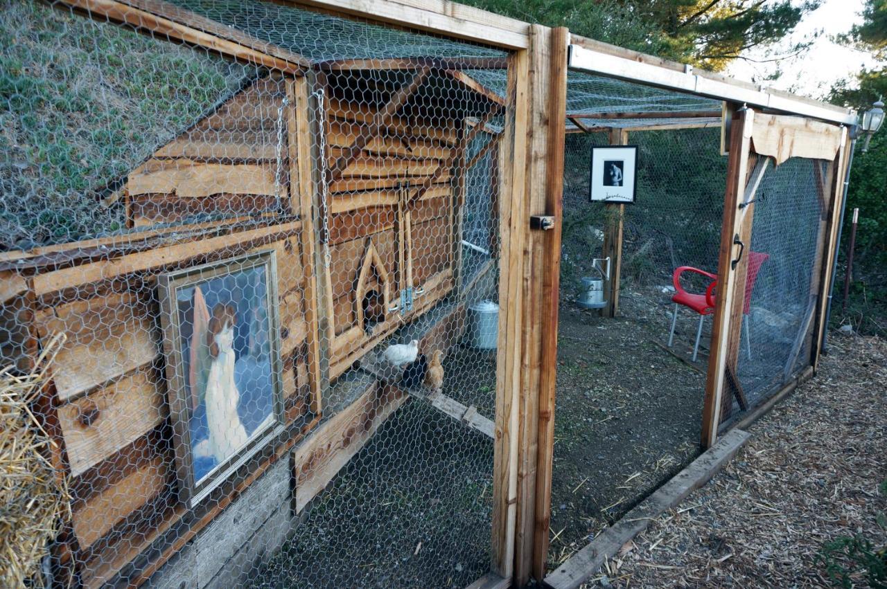 Mountain Top Getaway, Best View In Slo! - Whole House San Luis Obispo Extérieur photo