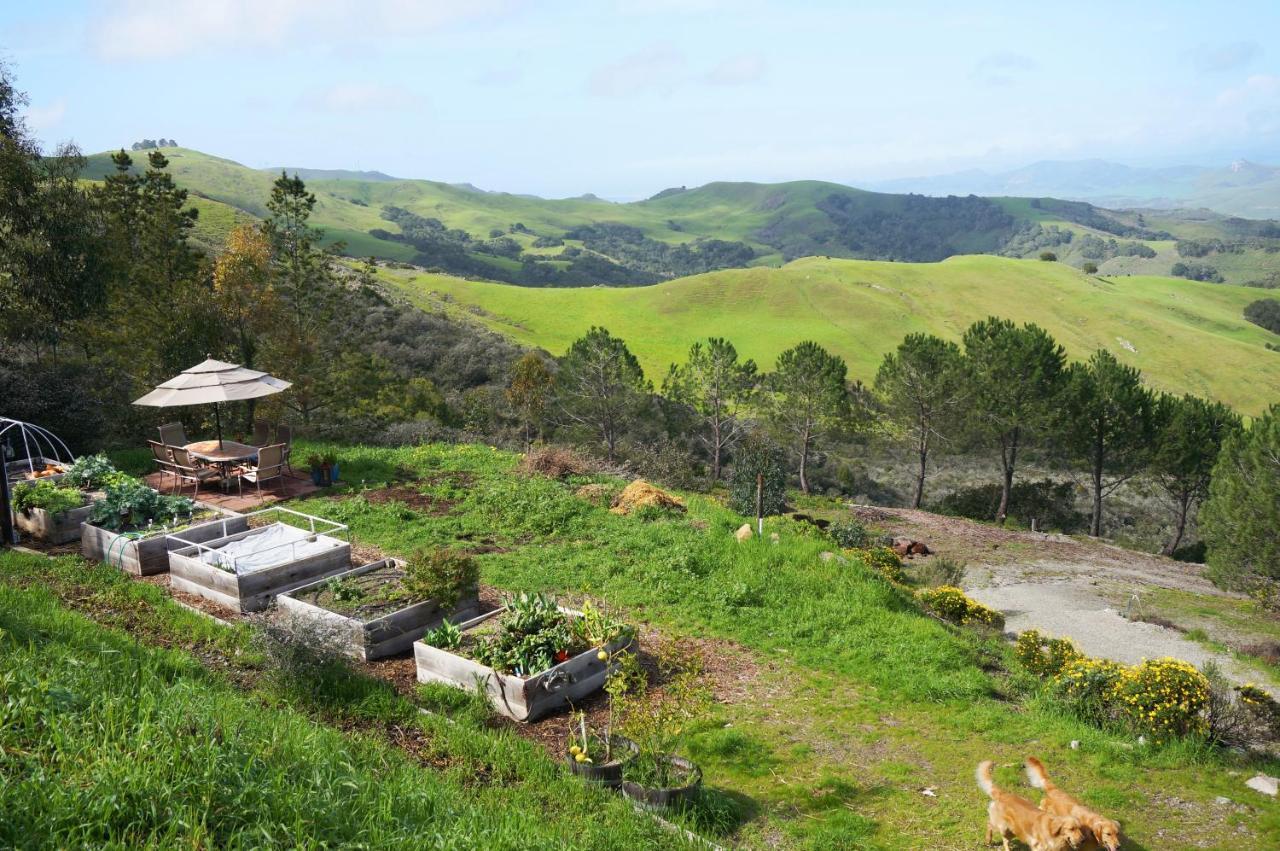 Mountain Top Getaway, Best View In Slo! - Whole House San Luis Obispo Extérieur photo